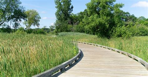 Earth Week Celebration, Hastings Lake Forest Preserve, Lindenhurst, 21 ...