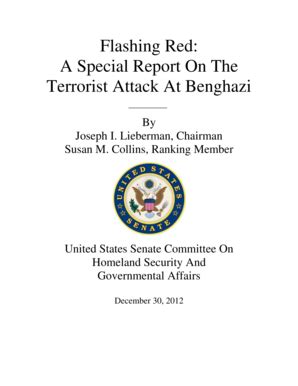 Fillable Online fas Flashing Red A Special Report On The Terrorist ...
