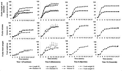 African plum (Dacryodes edulis [G. Don] H.J. Lam) fruit development ...