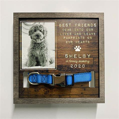 Discover 8 Crotty Companion Care and pet keepsake ideas | diy dog stuff ...