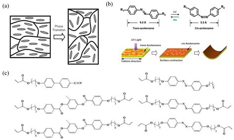 A Review on Liquid Crystal Polymers in Free-Standing Reversible Shape ...