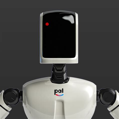 Pal Robot 的图像结果