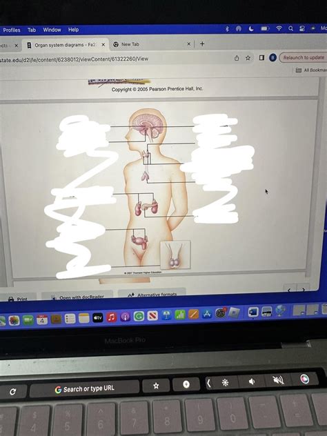 Image result for Bio Chapter 4 Quiz