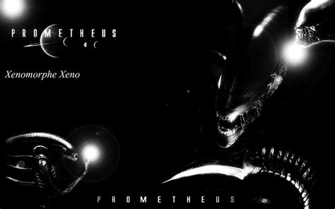Alien Prometheus 3 的图像结果