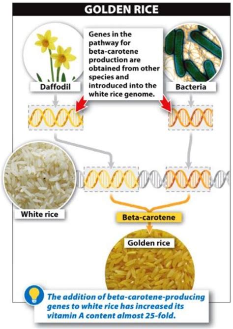 Biotechnology Examples 的图像结果