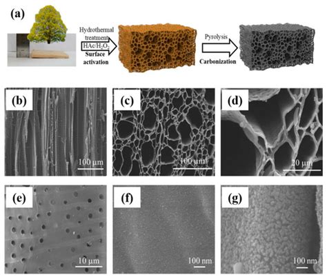 Catalysts | Special Issue : Biocatalysts Advancement for Optimum ...