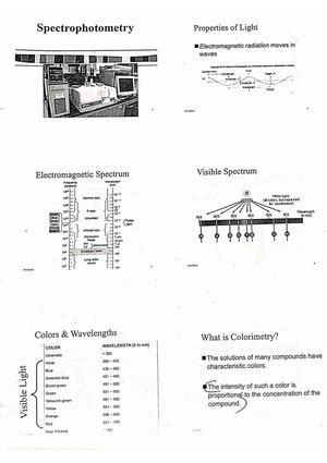 Protein Folding - Biochemistry - Studocu