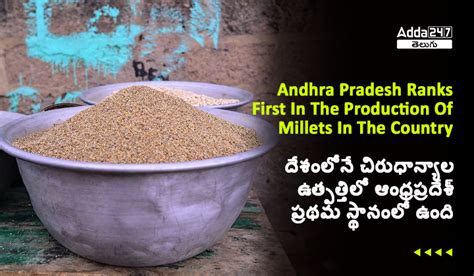 Andhra Pradesh Ranks First In The Production Of Small Grains In The Country