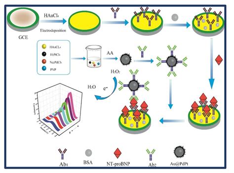Approaches and Challenges for Biosensors for Acute and Chronic Heart ...