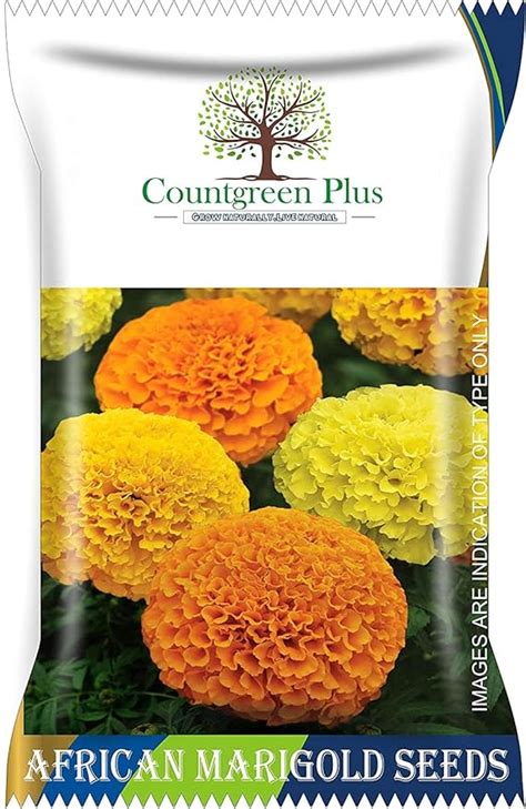 Countgreen Plus African Marigold (Genda) Annual Flower Garden Seeds for ...