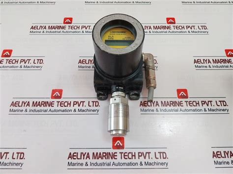 Detector Electronics U9500 B2002 Hydrogen Sulfide (H2S) Sensor – Aeliya ...