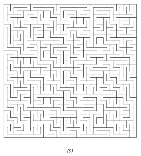 Image result for AB Maze Generation Algorithm