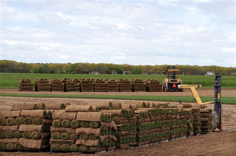 Where To Buy Sod Locally