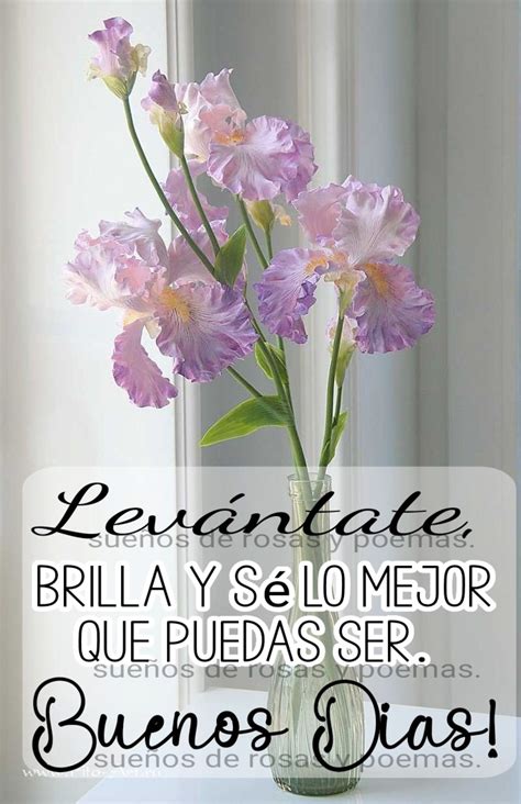 30+ Imágenes muy bonitas para Buenos Días - ImagenesMuyBonitas.net