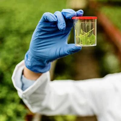 Solvent Extraction Plant Manufacturer in India | Solvent Extraction ...