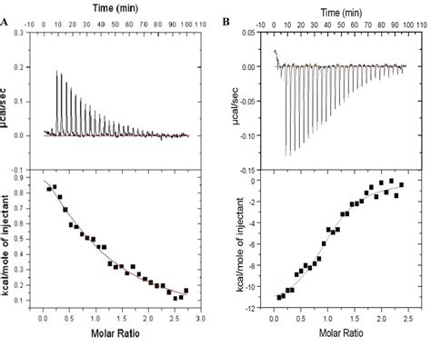Application of Reductive 13C-Methylation of Lysines to Enhance the ...