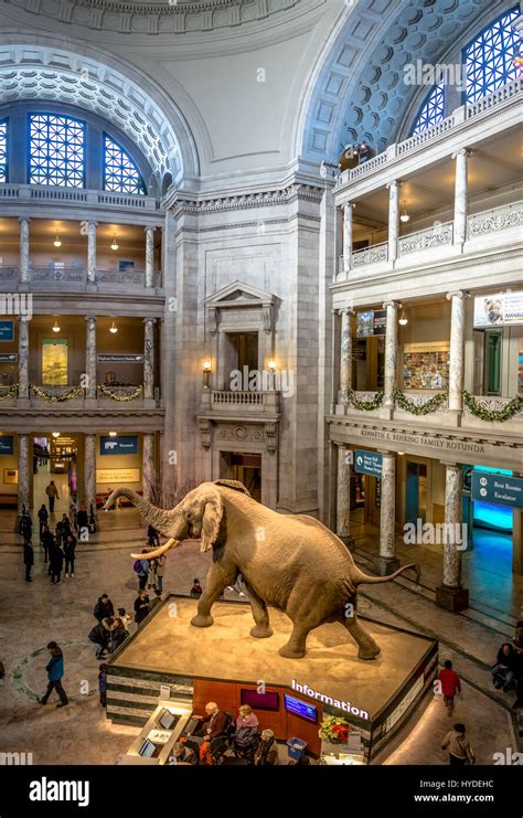 Smithsonian Museum 的图像结果