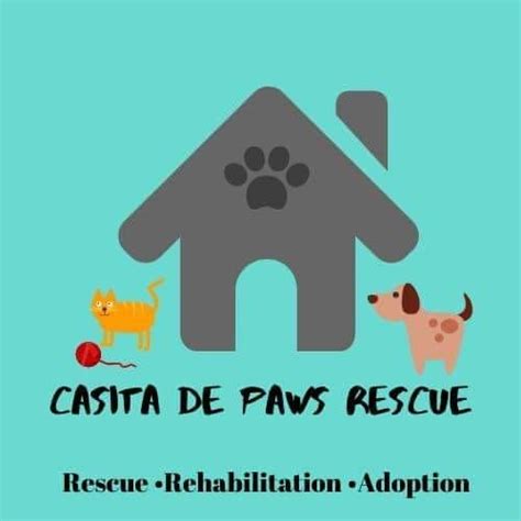 Low-cost Spay/Neuter Clinic in Tijuana, Mexico, Tijuana, Mexico ...