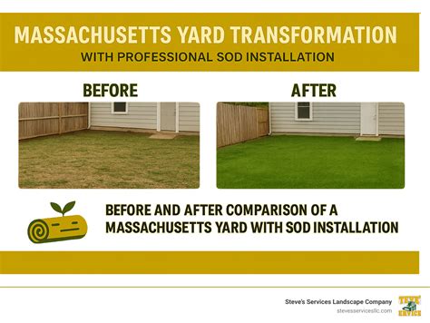 Sod Installation Cost 2025: 7 Powerful Pricing Secrets