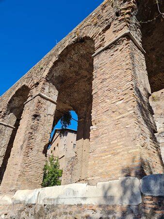 Colosseum and Vatican Tours by Italy Wonders (Rome) - 2022 What to Know ...