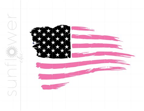 Pink American Flag