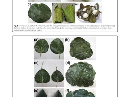 News | www.vistaraku.co.in