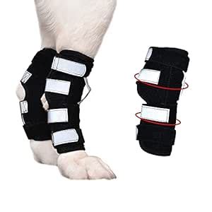 Petful Prime Premium Support Dog Hind Leg Brace - Lined with Dual Metal ...