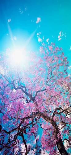 best wallpapers for iphone 50 best high quality iphone x wallpapers backgrounds best wallpapers for iphone 50 best high quality iphone x wallpapers backgrounds