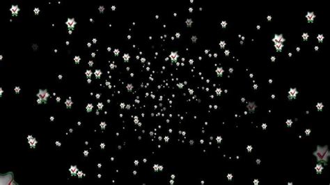 Image result for Falling Flower Animation