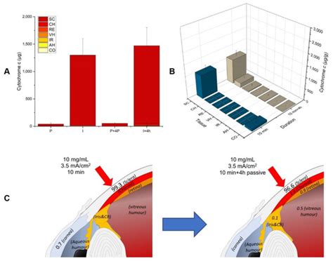 Non-Invasive Iontophoretic Delivery of Cytochrome c to the Posterior ...