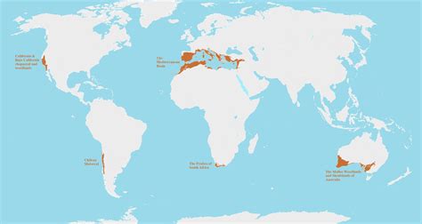 Mediterranean Biomes Around the World - Vivid Maps