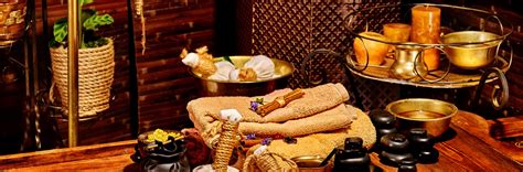 Traditional Indian Shampoo Recipe : Amla, Reetha, Shikakai – OHRIA AYURVEDA