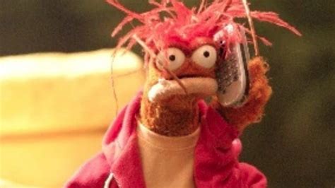 Pepe the King Prawn: Das bedeutet das virale TikTok-Meme | Kurier