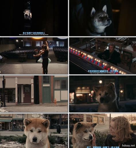 [忠犬八公的故事]Hachi.A.Dog