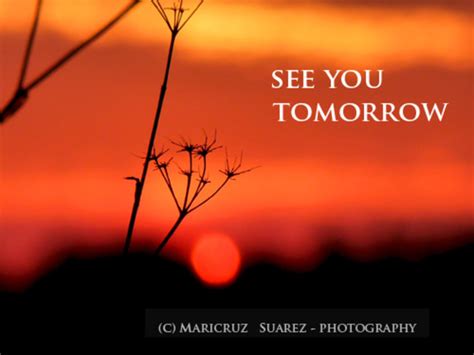 Hope to See You Tomorrow. | Seeing you quotes, Tomorrow quotes, Good ...