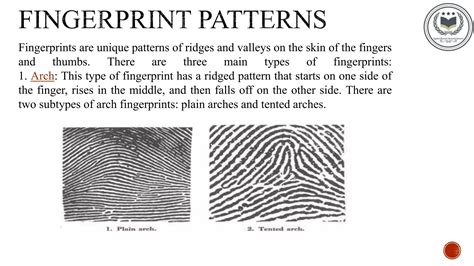 fingerprint characteristics | PPTX