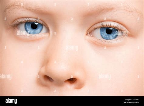 Blue Eye Macro Bot Tutorial 的图像结果