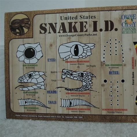 Snake Identification Guide 的图像结果