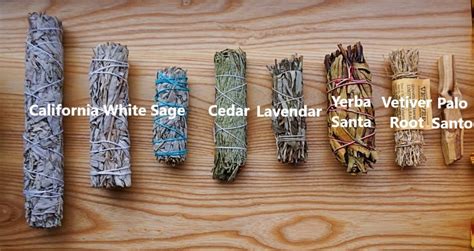 How Long Do Smudge Sticks Take To Dry at Joyce Hartmann blog