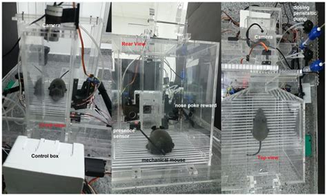 Improved Behavioral Box and Sensing Techniques for Analysis of Tactile ...