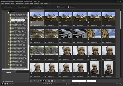 Canon DPP4 Guide 的图像结果