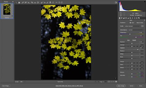 Make local adjustments in Adobe Camera Raw