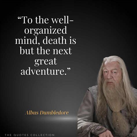55 Powerful Albus Dumbledore Quotes from Harry Potter - The Quotes ...