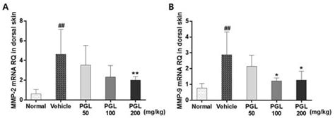 Photoprotective Effects of Processed Ginseng Leaf Administration ...