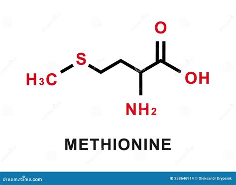 Methionine Structure