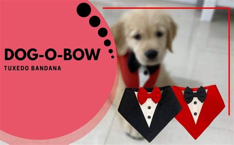 Dog-O-Bow Tuxedo Bandana for Dogs (XL, Black) : Amazon.in: Pet Supplies
