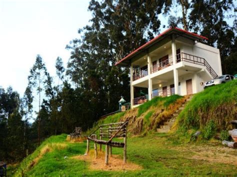 Heavenly Daze Kookal