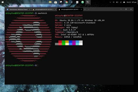 Image result for Linux Windows 10