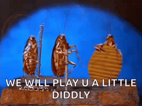 Dancing Cockroach Meme 的图像结果