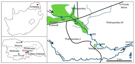 Quantifying Metal Contamination and Potential Uptake by Phragmites ...